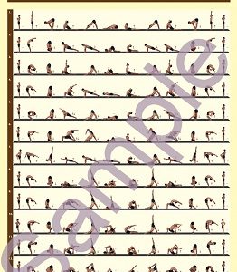 Andiappan Yoga Suryanamaskar Wall Chart