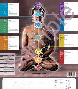 Kundalini Chakra Wall Chart