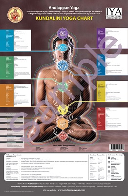 Kundalini Chakra Wall Chart