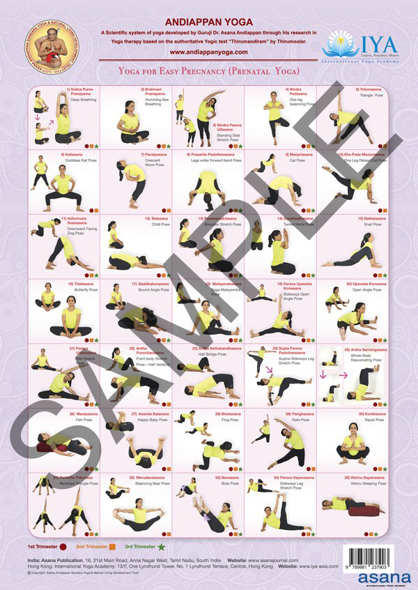 Prenatal Yoga Wall Chart